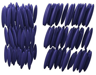 Lattice of Liquid Crystals